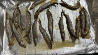 ししゃも焼いた後