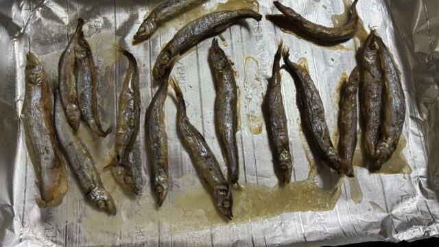 ししゃも焼いた後