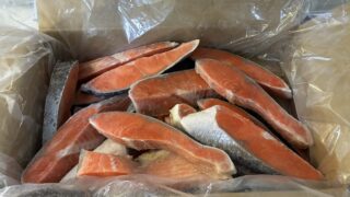 銚子市 訳あり厚切り銀鮭 開封 冷凍切り身