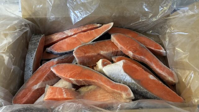 銚子市 訳あり厚切り銀鮭 開封 冷凍切り身