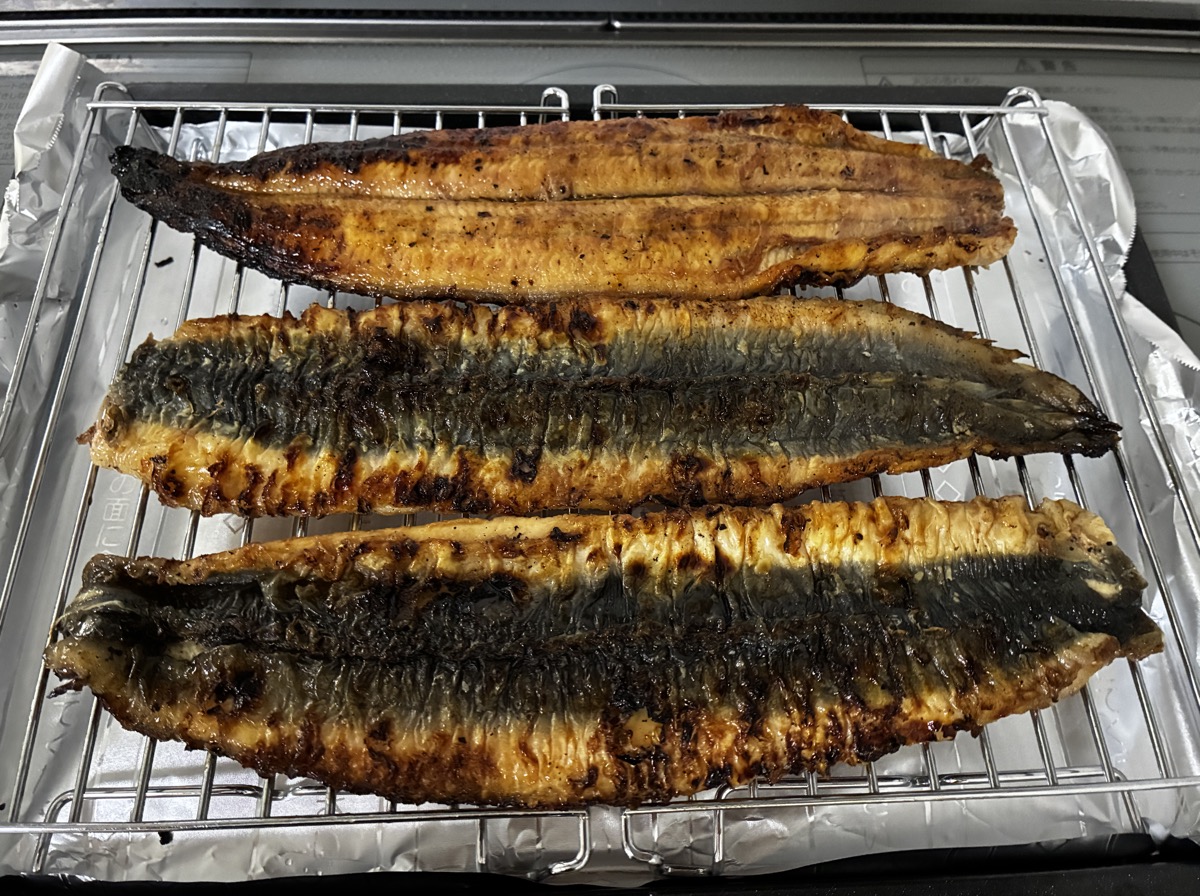 写真用に一尾だけひっくり返して身を見せたうなぎ